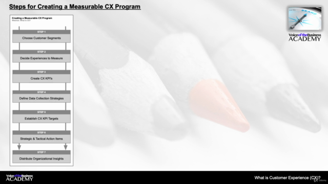 Implementing a Customer Experience (CX) Program – Screenshot 4