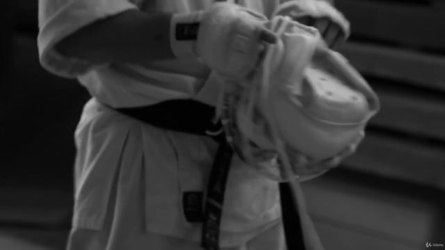 Furious Karate for MMA Level 1 – Screenshot 4