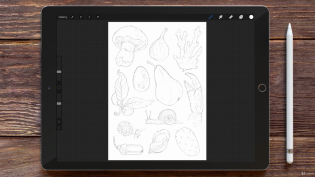 Digital Painting in Procreate for Beginners – Screenshot 1