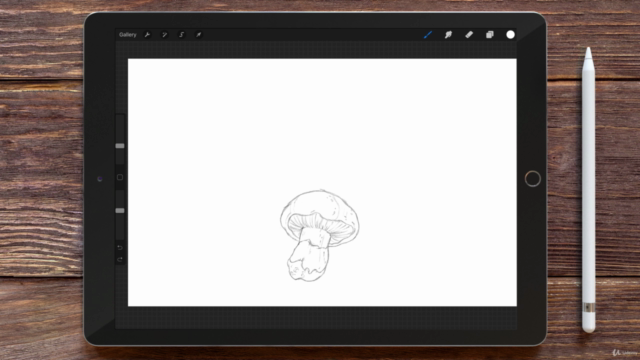 Digital Painting in Procreate for Beginners – Screenshot 2