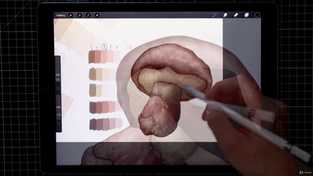 Digital Painting in Procreate for Beginners – Screenshot 4