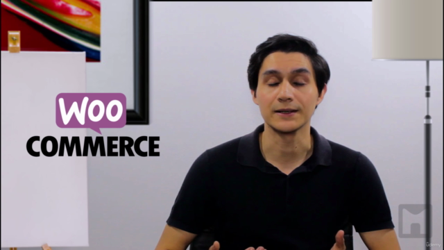 Flatsome y Woocommerce. Crea un marketplace sin saber código – Screenshot 3