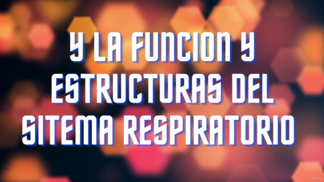 Sistema Respiratório: Aprende Anatomia Humana – Screenshot 1