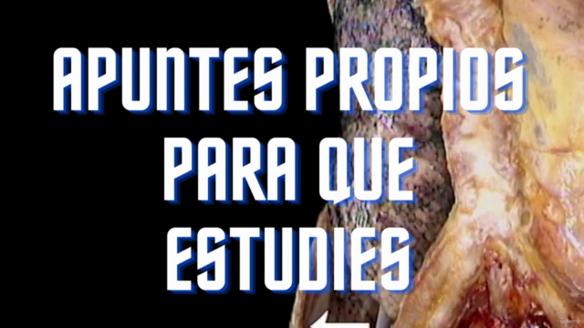 Sistema Respiratório: Aprende Anatomia Humana – Screenshot 2