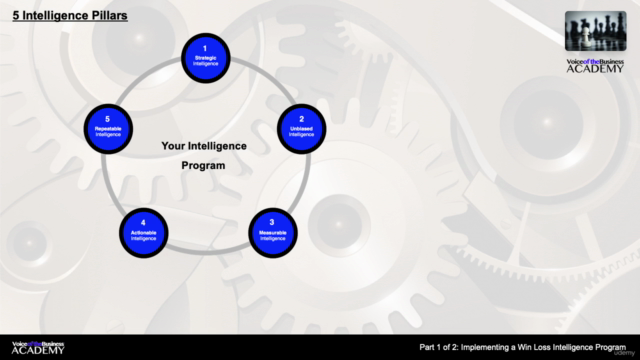 Implementing a Win Loss Intelligence Program - Screenshot_02
