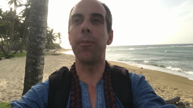 Prana Vidya Level 1: Learn The Yoga Science of Prana Healing – Screenshot 3