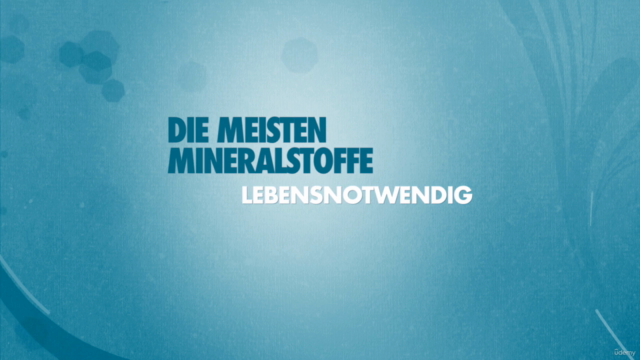 Schüßler-Salze-Berater/in (100% Digital-Ausbildung) – Screenshot 2
