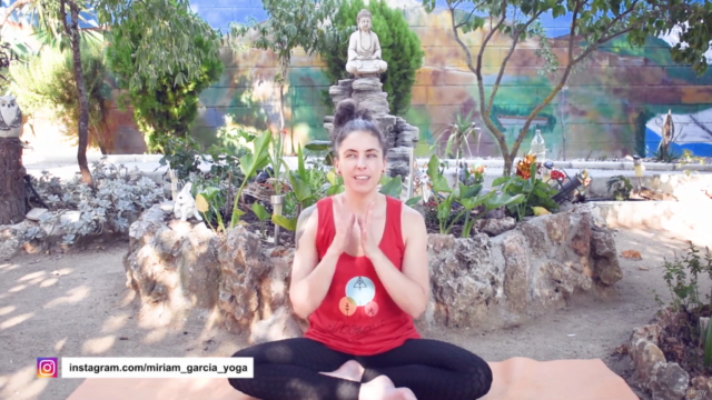 Curso de Hatha Yoga para Principiantes – Screenshot 1