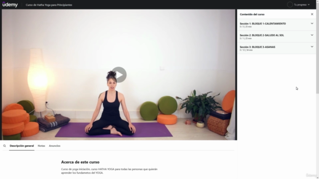Curso de Hatha Yoga para Principiantes – Screenshot 2