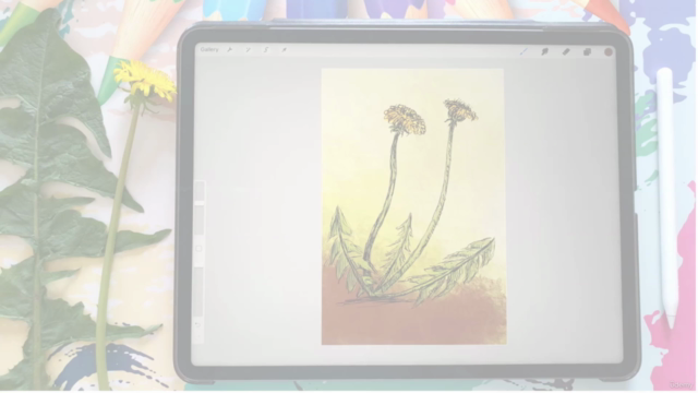 Drawing Nature - Quick Sketch Procreate Edition – Screenshot 4