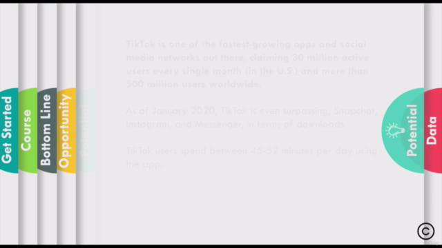 Online Course: Discover How to Make Money on TikTok – Screenshot 1