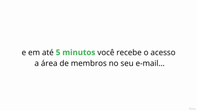 Google Ads (AdWords) + Youtube Ads + Google Meu Negócio – Screenshot 4