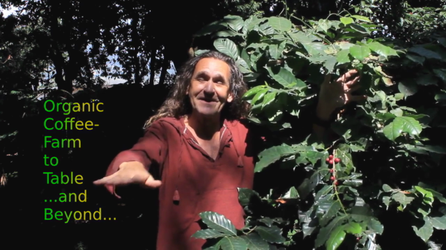 Organic Coffee, Farm to Table and Beyond – Screenshot 1