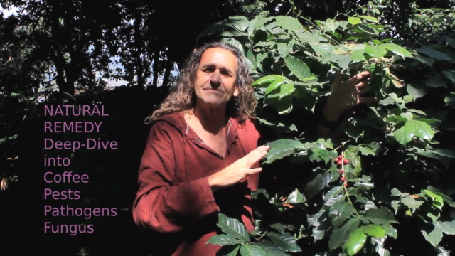 Organic Coffee, Farm to Table and Beyond – Screenshot 2