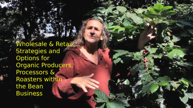 Organic Coffee, Farm to Table and Beyond – Screenshot 3