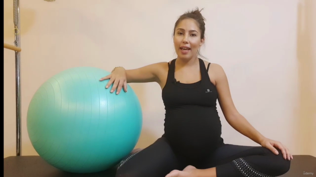 Pilates for Pregnancy – Screenshot 4