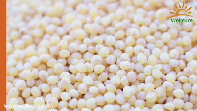 Millets 101: Beginner's Guide to Wholesome Cooking – Screenshot 1