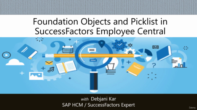 Foundation Objects and Picklist in SuccessFactors – Screenshot 3