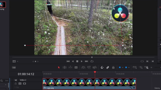 Learn to Make YouTube Videos: DaVinci Resolve Video Editing - Screenshot_02