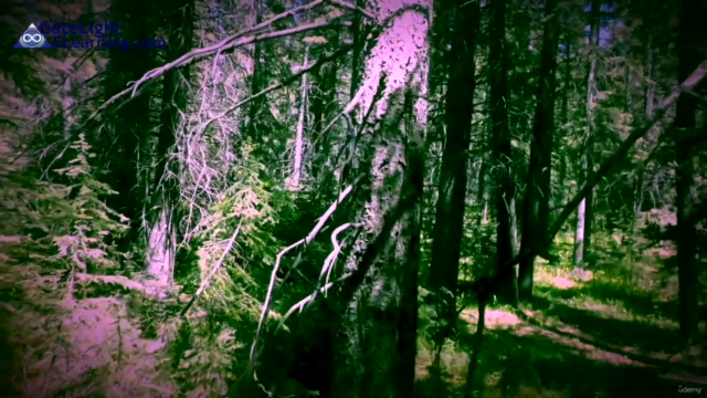 How To Find Shamanic Symbols - Advanced Shamanic Journeying – Screenshot 4
