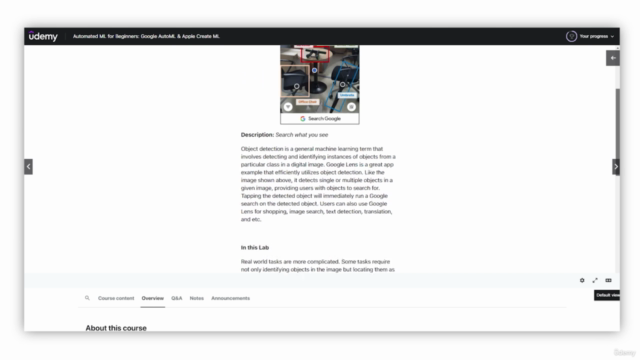 Automated Machine Learning for Beginners (Google & Apple) – Screenshot 3