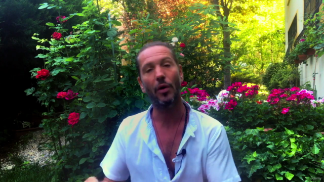 Stable HARMONY and progressive AWAKENING Step1 – Screenshot 3