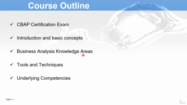 Business Analysis - Arabic Course – Screenshot 2