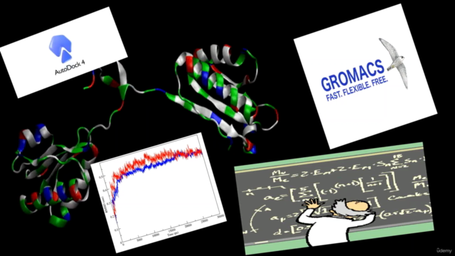 Bioinformatics; Learn Docking & Mol Dynamics Simulation – Screenshot 2