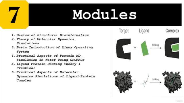 Bioinformatics; Learn Docking & Mol Dynamics Simulation – Screenshot 4