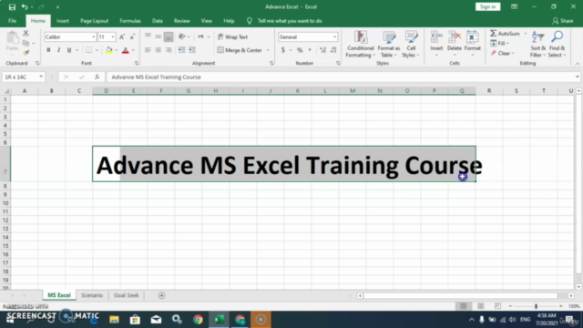 Microsoft Excel - Advance Level MS Excel Training Course – Screenshot 2