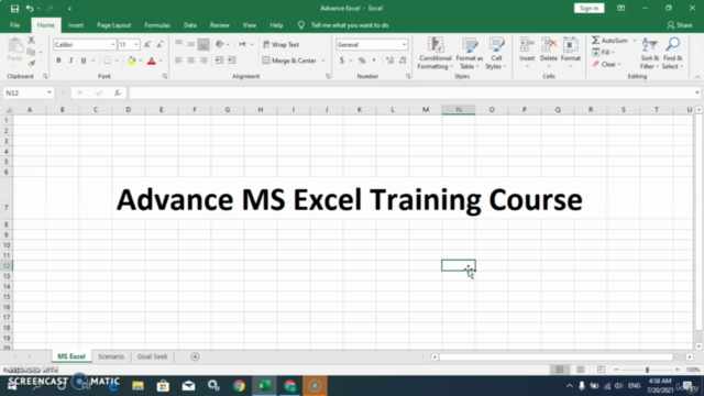 Microsoft Excel - Advance Level MS Excel Training Course – Screenshot 3