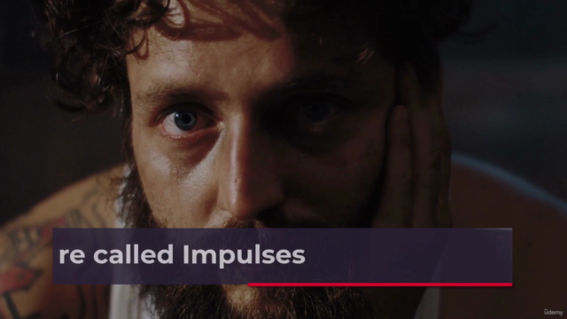 Neuromarketing and the Marketing Psychology of Impulse – Screenshot 2