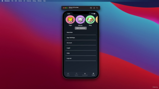 Disney Plus Clone in SwiftUI with Remote Url Video Player – Screenshot 1