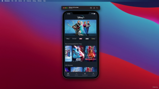 Disney Plus Clone in SwiftUI with Remote Url Video Player – Screenshot 2