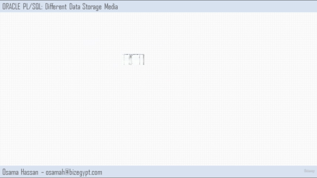 ORACLE Database Management System – Screenshot 1