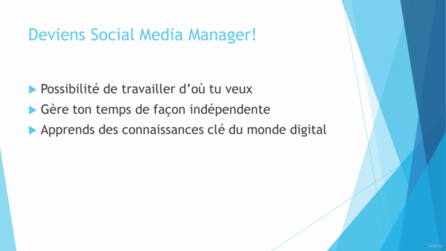 Gestion des Réseaux Sociaux: Devenir Social Media Manager - Screenshot_01