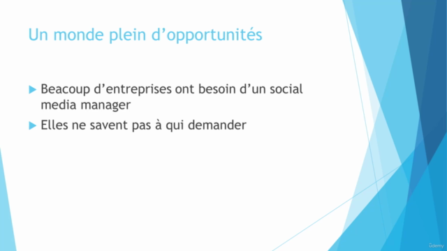 Gestion des Réseaux Sociaux: Devenir Social Media Manager - Screenshot_03