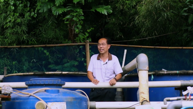 Belajar Aquaponik Bersama Tanikota Truly Natural Aquaponics – Screenshot 2