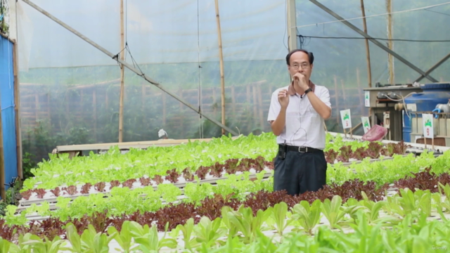 Belajar Aquaponik Bersama Tanikota Truly Natural Aquaponics – Screenshot 3