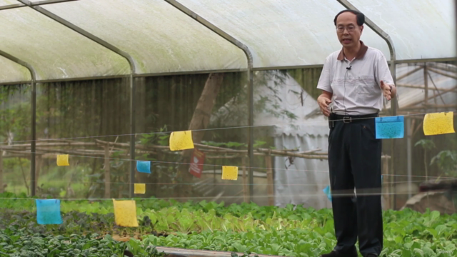 Belajar Aquaponik Bersama Tanikota Truly Natural Aquaponics – Screenshot 4