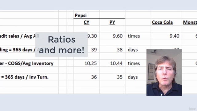 Financial Statement Analysis – Screenshot 3