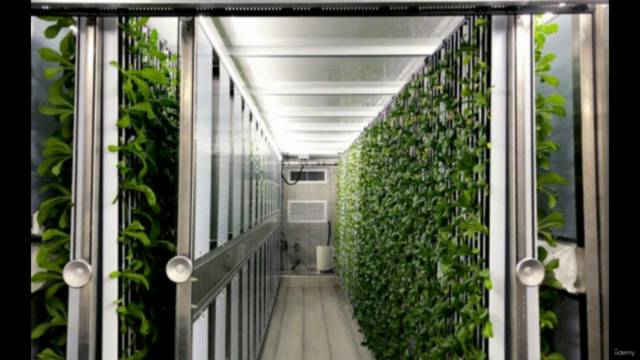 Professional Diploma In Herbal Medicine – Screenshot 3