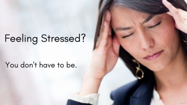 Yoga for Beginners - Targeted Pain and Stress Relief – Screenshot 1