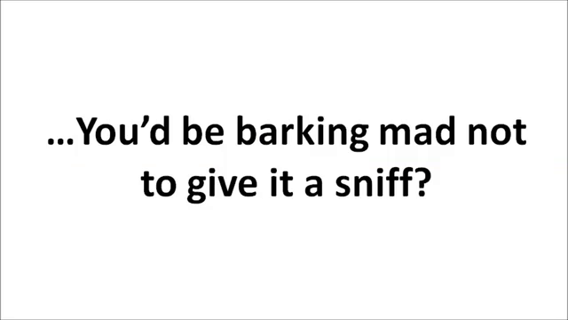 Dog Walking Business Startup: Launch Your Own Canine Company – Screenshot 4