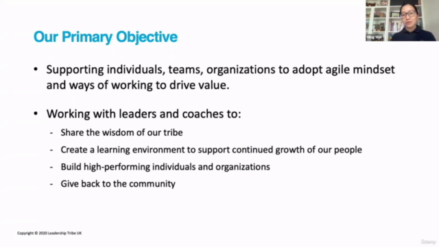 Change and Agile Transition – Screenshot 2