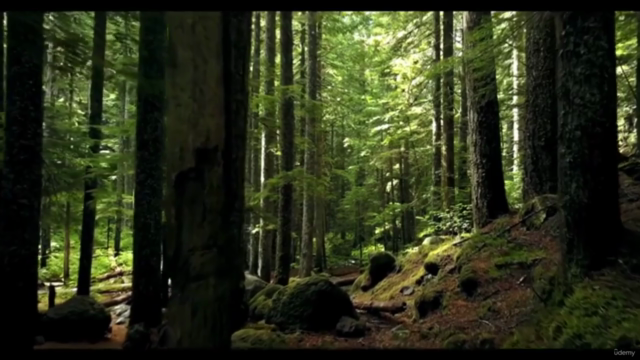 La cura del SE' – Screenshot 4
