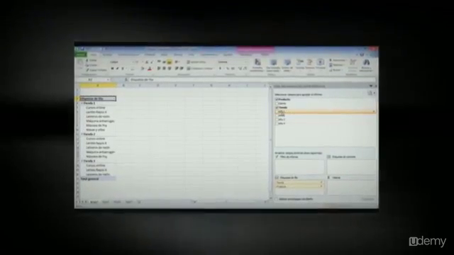 Excel Desde Cero - Nivel Básico e Intermedio (2014) – Screenshot 3