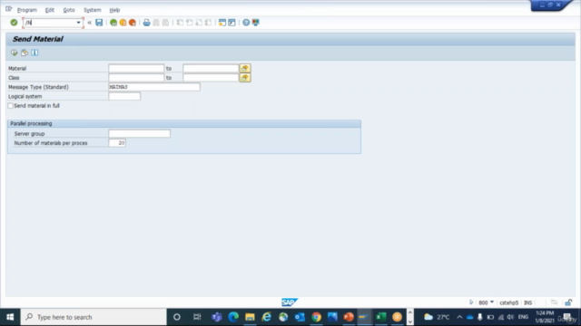 SAP IDoc Training for Functional Consultants - Screenshot_01
