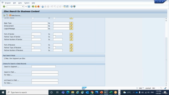 SAP IDoc Training for Functional Consultants - Screenshot_02