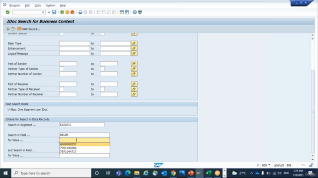 SAP IDoc Training for Functional Consultants - Screenshot_03